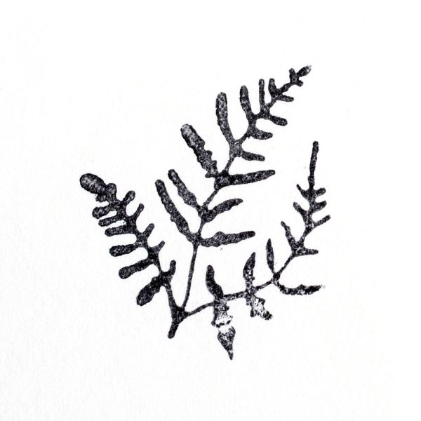 Buy & Try Technique Stamp Large Fern