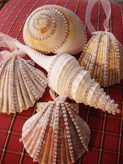 diamonte shells
