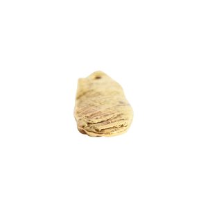 Charm Organic Mussel Shell<br>Antique Gold