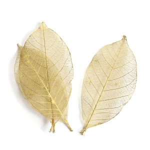 Buy & Try Skeleton Leaves<br>Gold