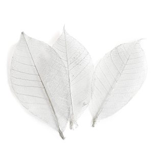 Buy & Try Skeleton Leaves<br>Silver